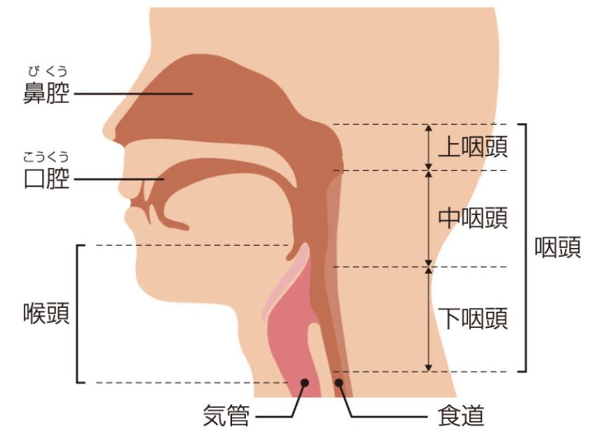 咽頭 喉頭 摘出後後遺症で障害年金をもらう方法 愛知県瀬戸市 尾張旭市の障害年金手続きは年金サポートオフィスk